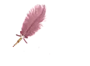 Feather Pen Rose - Siddiqa