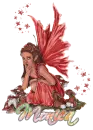 Can You Keep A Secret Fairy - Monica