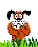Mario Bross