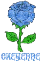 Cheyenne Blue Rose