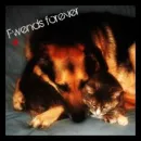Fwends