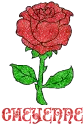 Cheyenne Red Rose