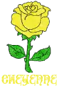 Cheyenne Yellow Rose