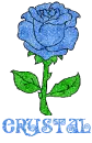 Crystal Blue Rose