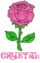 Crystal Pink Rose