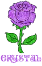 Crystal Purple Rose