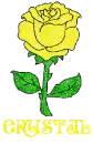 Crystal Yellow Rose