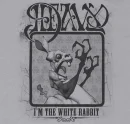 the white rabbit