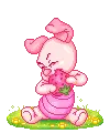 Winnie the Pooh