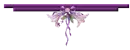 Purple Flowers