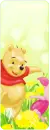 Pooh