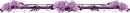 Purple Flowers
