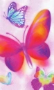morning butterflies in pink