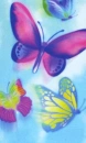 evening butterflies in blue