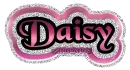 Daisy