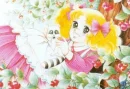 Candy Candy