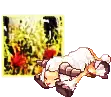 Amistr