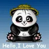 panda bear