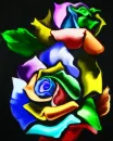 Colorful roses