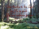 Give Thanks