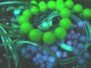 green jewels