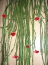 hearts at a cactus