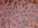 leopard pattern