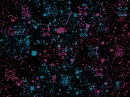 Splatter and Skulls Background