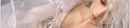 Dream Of Doll Banner
