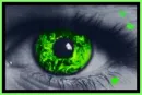 eyes of green