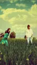 cute - lovers in a field