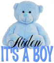 It's a Boy bear - Aiden