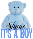 It's a Boy bear - Shane