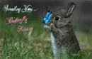 Sending You Butterfly Kisses