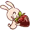 Cute Bunny With Chocolate Covered Strawberry