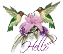 Hello