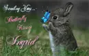 Butterfly Kisses for Ingrid