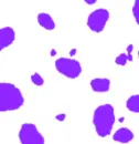 Rainbow Dalmation Spots