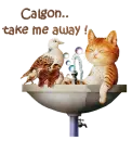 Calgon