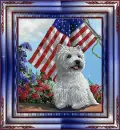 American Dog Tag