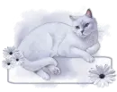 Daisy Cat Tag