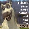 Donkey