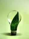 lightbulb