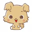 Cute Puppy