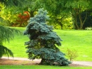 NATURA