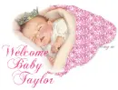Taylor