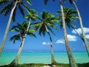 Tropical Island
