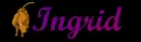 Dog-Ingrid