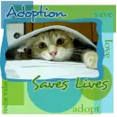 Adoption saves lives