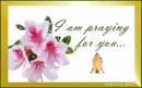 I am praying for you